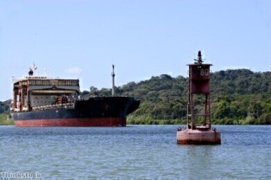 Harbour oil spill prompts investigation
