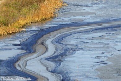 Pipeline breaks causes nature reserve oil leak