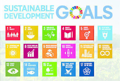 Standards and the U.N. Sustainable Development Goals